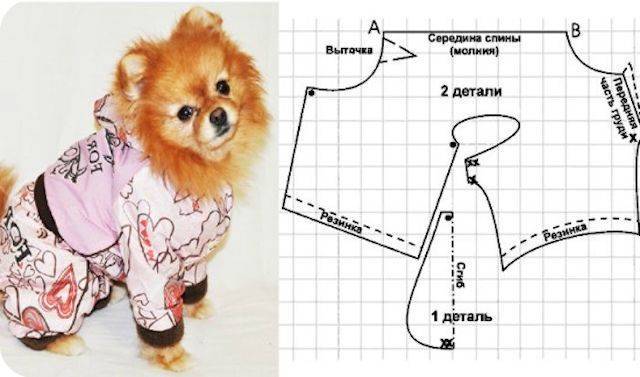 Выкройки одежды для собак маленьких пород: как сшить одежу (фото)