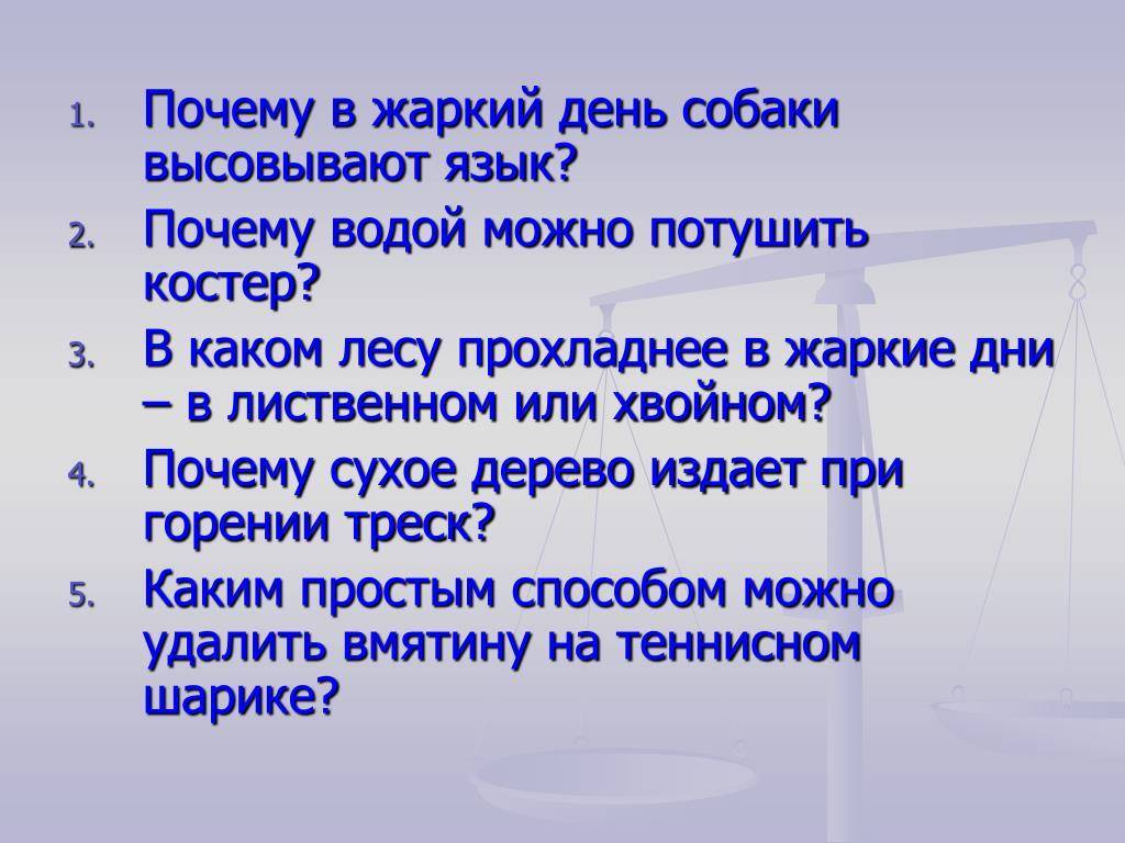 Почему в сухом. Почему водой можно потушить костер. Почему в жаркий день собака высовывает язык. Почему летом в лесу прохладно. Почему водой можно потушить костер 3 класс.