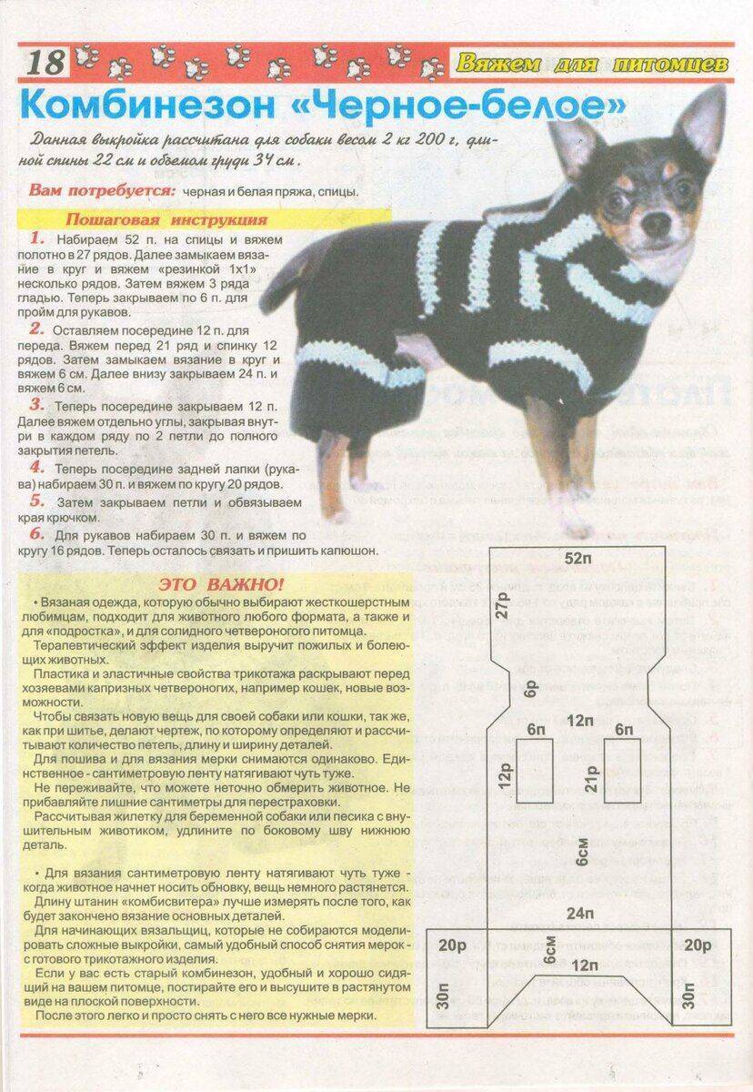 Архивы вязание для собак | страница 2 из 4 | vjazem.ru