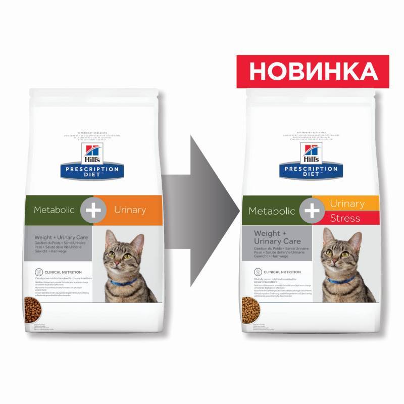 Хиллс Метаболик — корм для кошек