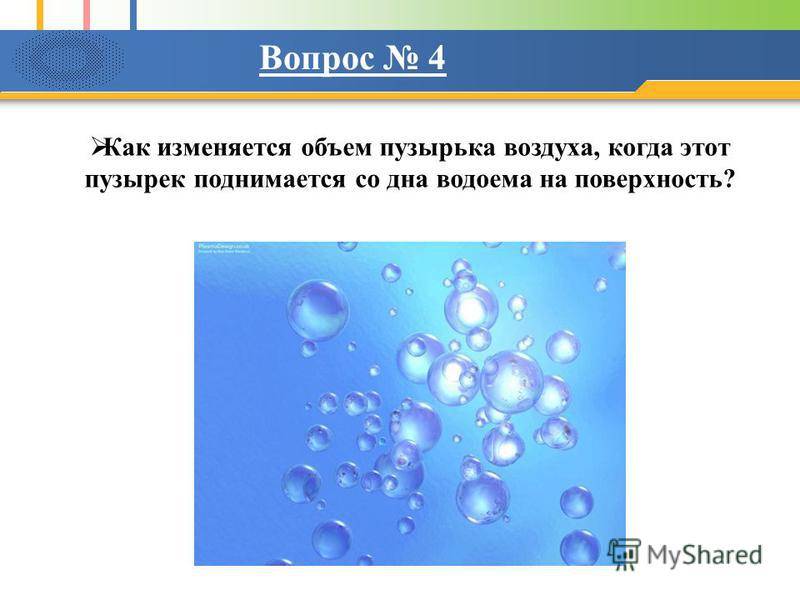 Как лечить насморк у кота в домашних условиях