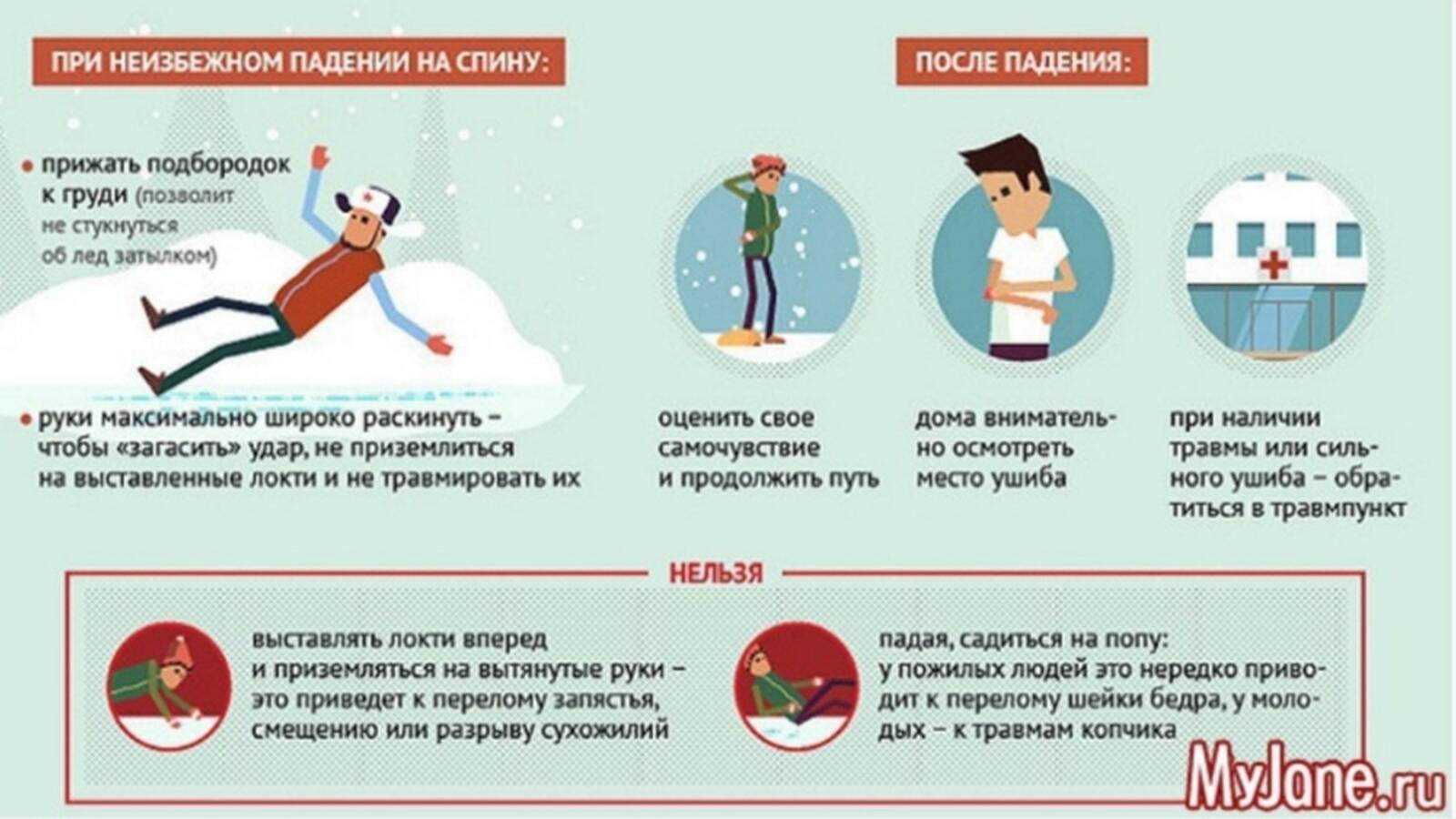 Что делать, если хомяк упал с высоты?