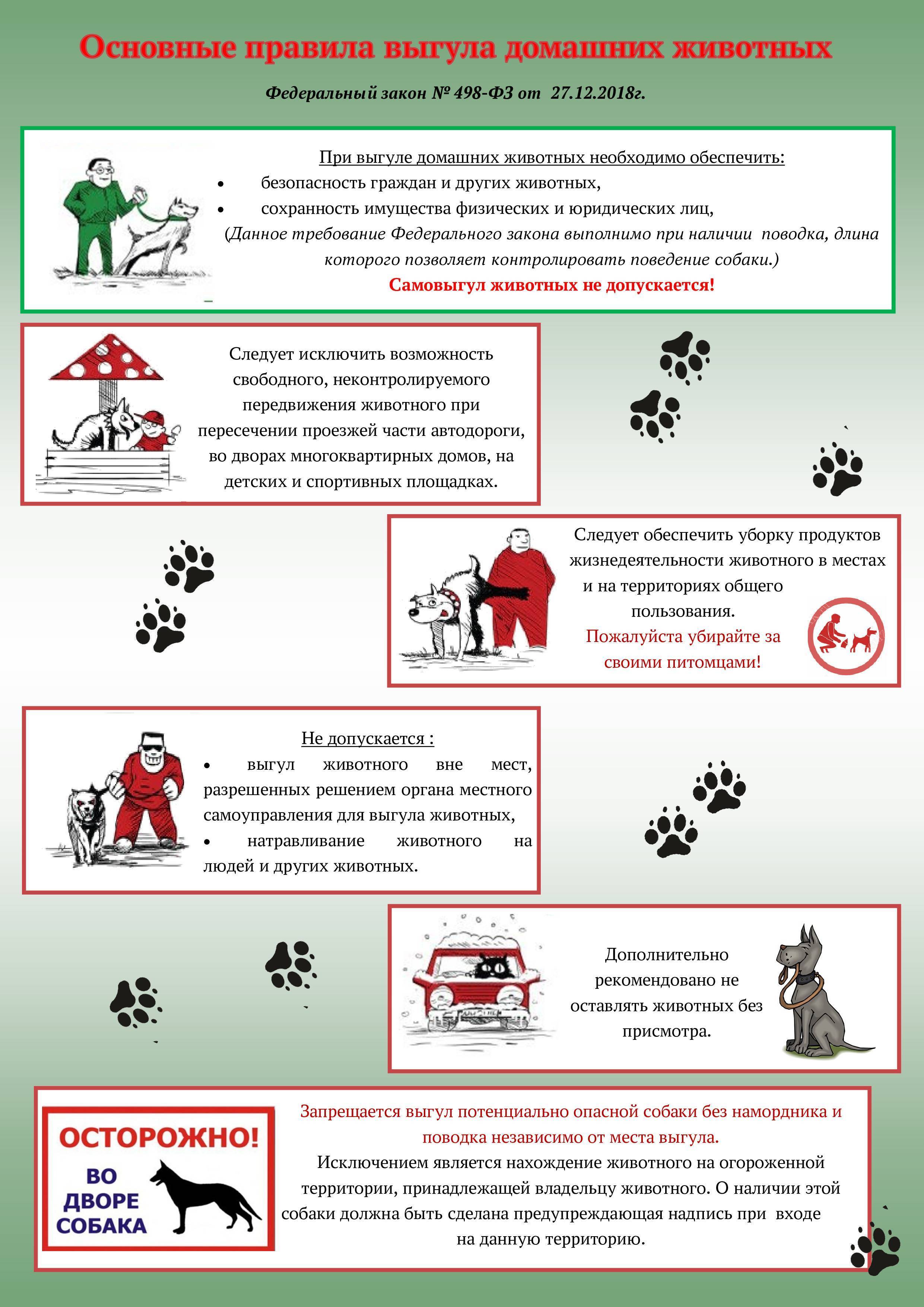 Федеральный закон о содержании собак