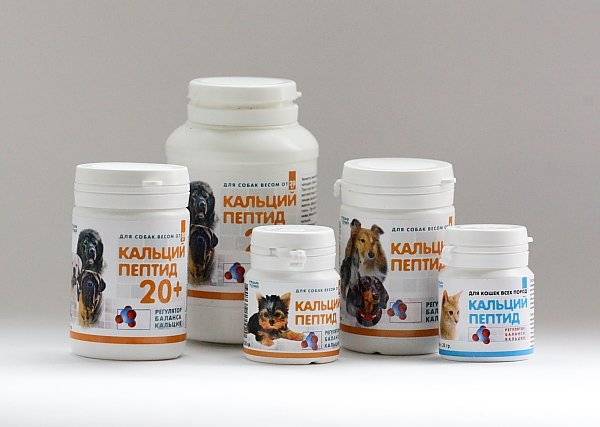 Витамины для суставов для собак крупных и мелких пород: какие нужны, обзор витаминных комплексов
