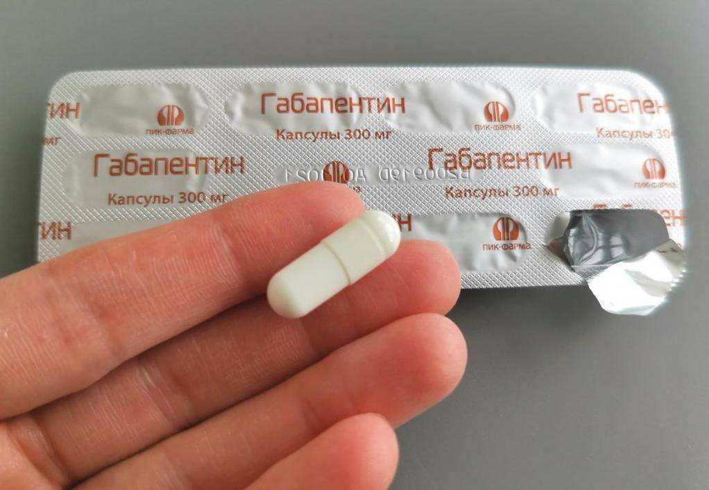 Габапентин у кошек и собак (все за и против, показания, противопоказания, дозы, особенности использования, инструкция по применению)