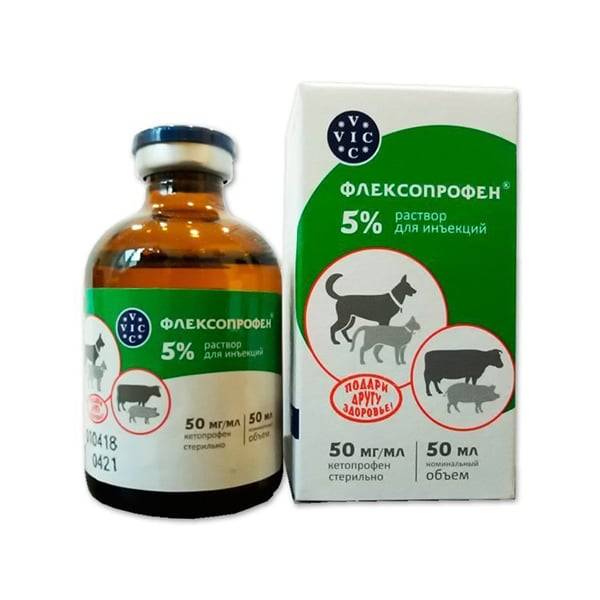 Флексопрофен для кошек – уколы от боли