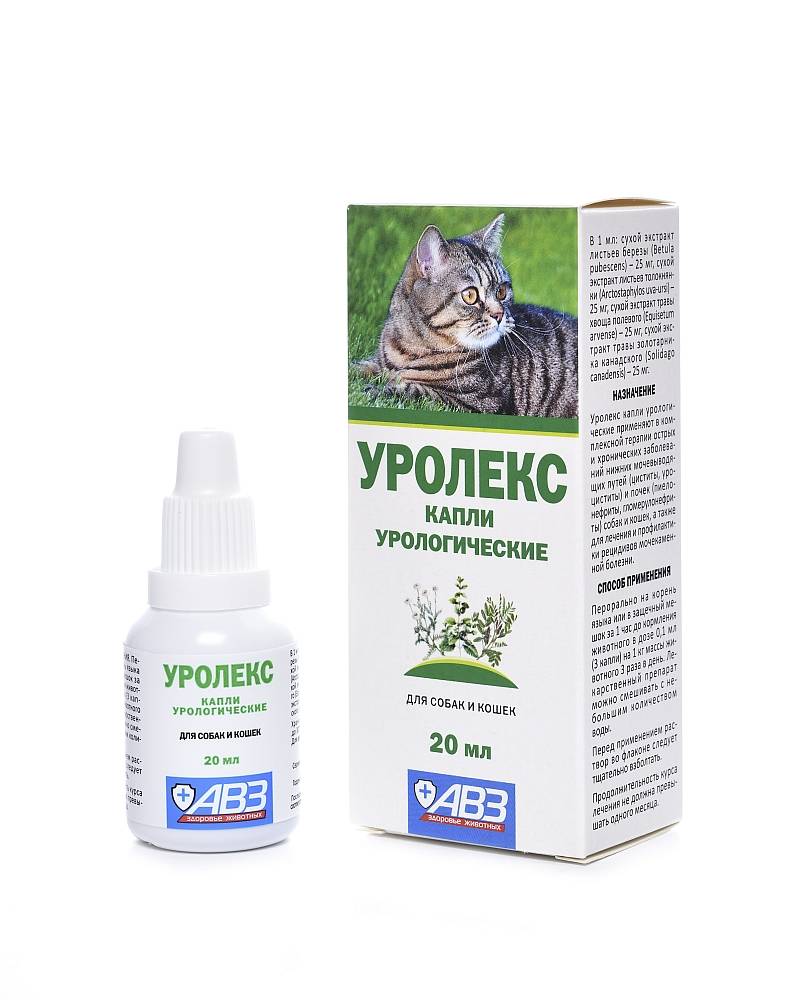 Уролекс для кошек: инструкция по применению капель