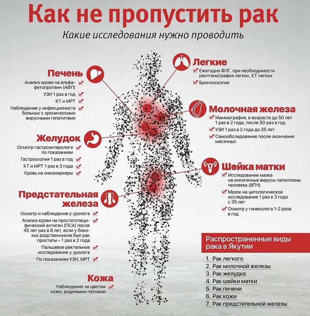 Рак у кошки опасен для человека – опухоль у кота