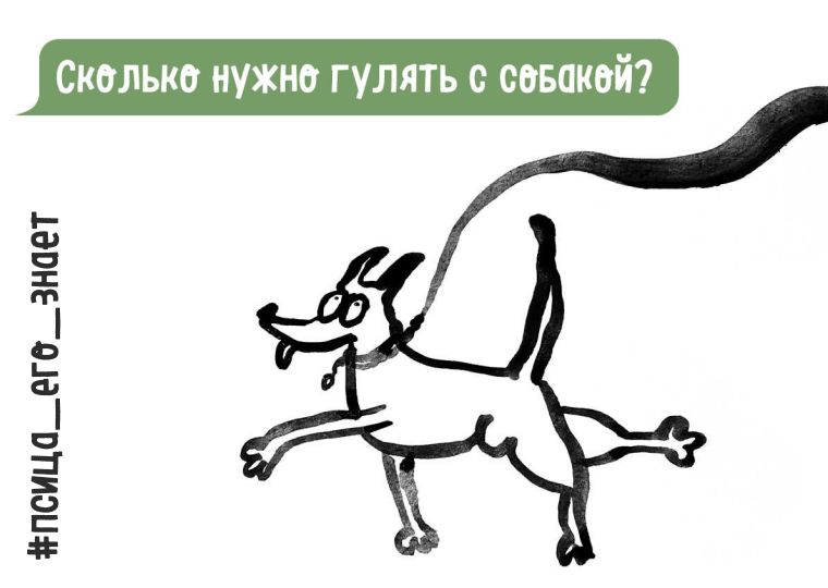 К вопросу о прогулках - когда, сколько и где гулять с мини-собачкой? содержание, питание и уход за собаками mini-dogs