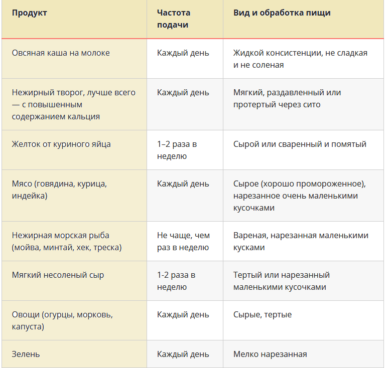 Чем кормить котенка в 6 месяцев: особенности питания, продукты и рекомендации
чем кормить котенка в 6 месяцев: особенности питания, продукты и рекомендации
