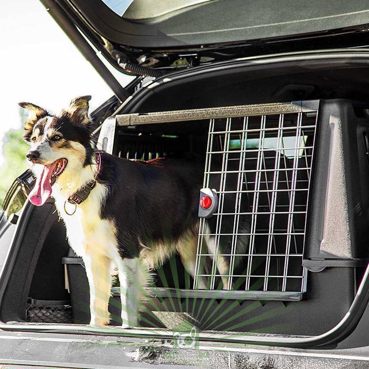 Как правильно перевозить собаку в машине на дальнее расстояние: правила