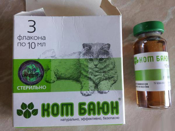 Успокоительное для кошек: в каких ситуациях применять