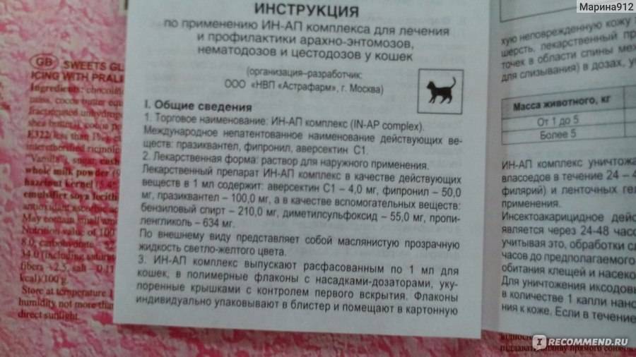 Чем обработать рану коту (открытую, гнойную) после драки в домашних условиях, что делать, если не затягивается - блог о животных - zoo-pet.ru