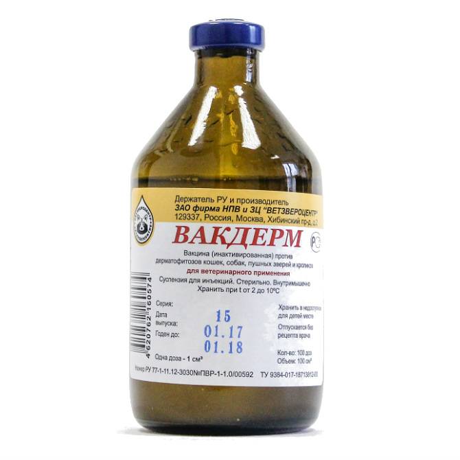 Вакцина «вакдерм»: как и куда колоть кошке