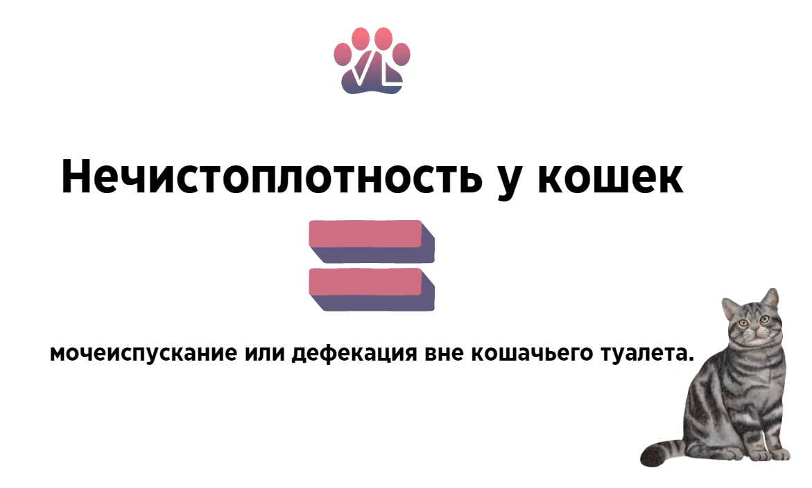Рвота у кошки при переходе на другой корм
