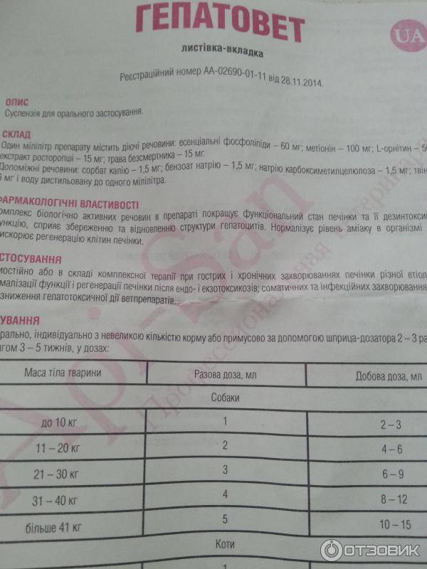 Гепатовет для собак: инструкция по применению