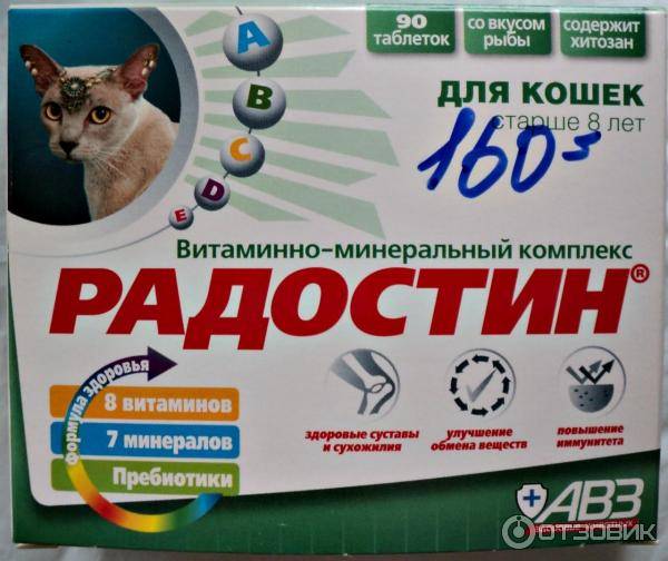 Что дать кошке для аппетита?