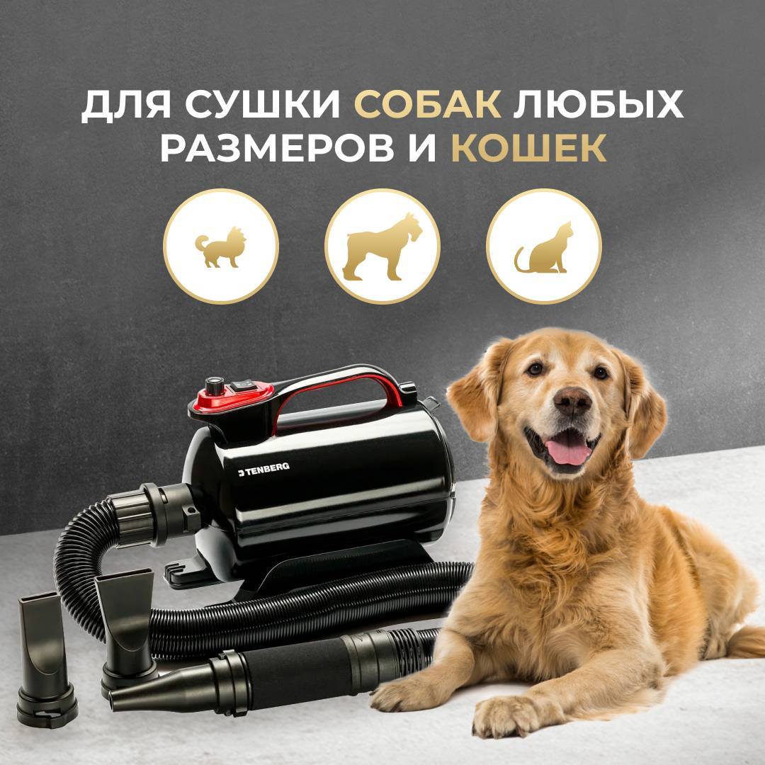 5 безопасных ошейников для дрессировки собак из aliexpress