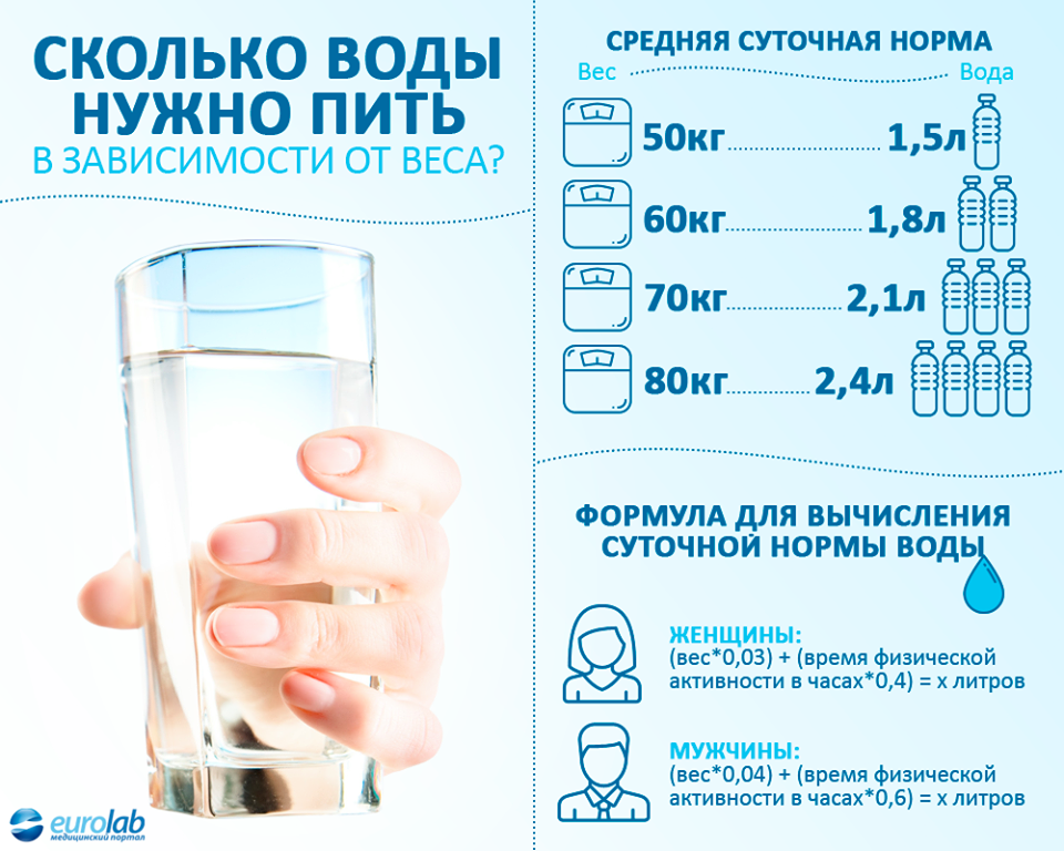 Кошка много пьет воды - причины повышенной жажды