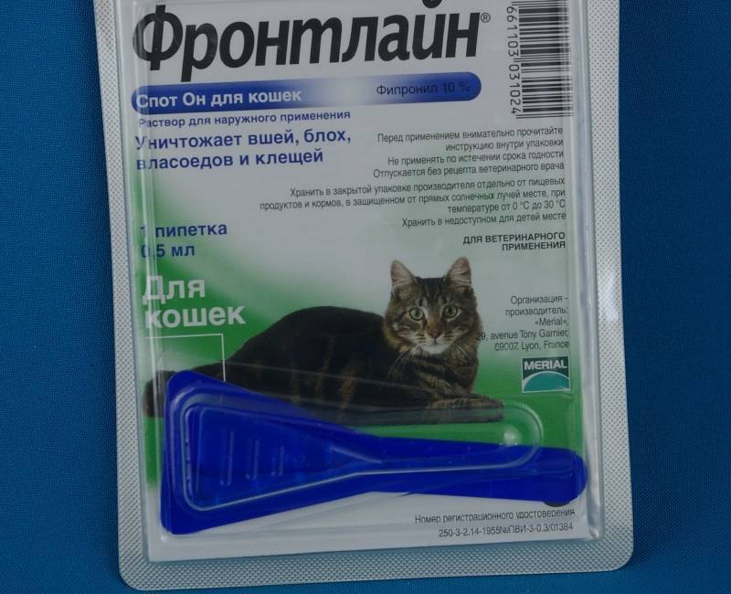 Фронтлайн для кошек и собак: описание видов и свойств препарата