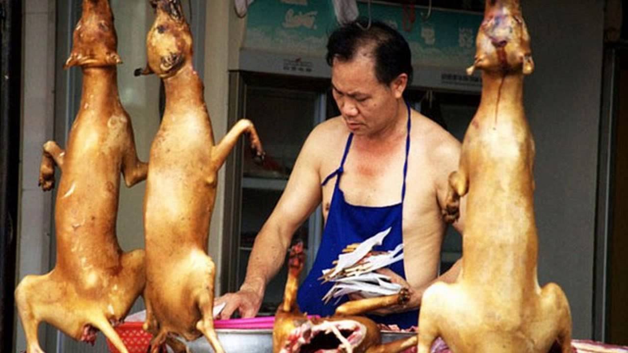 Что едят китайцы: рацион питания