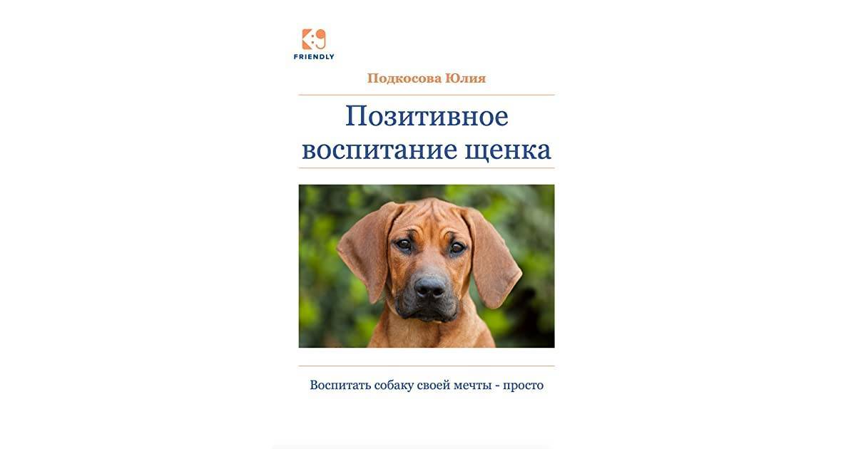 ᐉ дрессировка щенка. первые шаги - ➡ motildazoo.ru