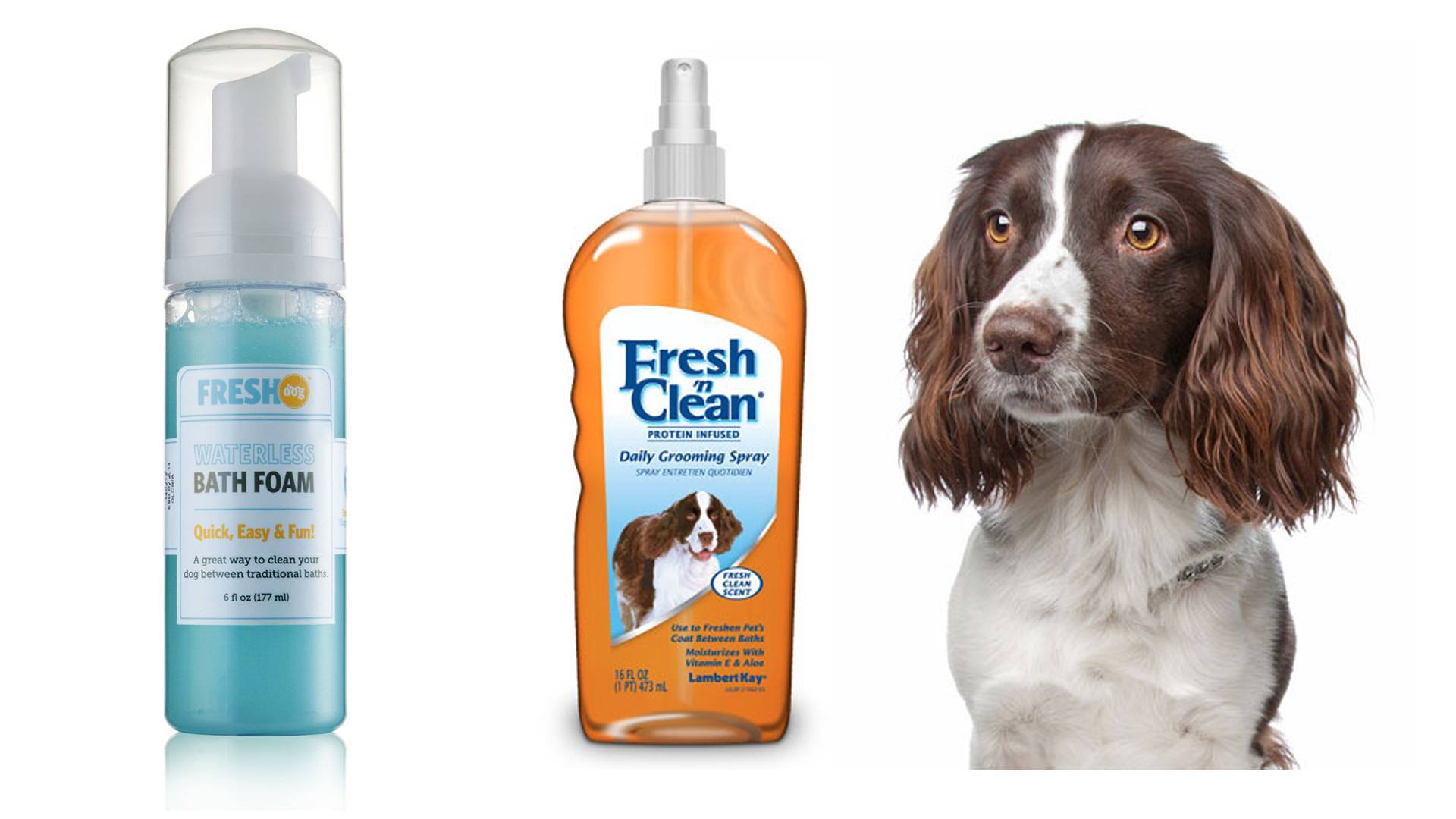 Как соблюдать оптимальный график мытья собаки? | блог ветклиники "беланта"