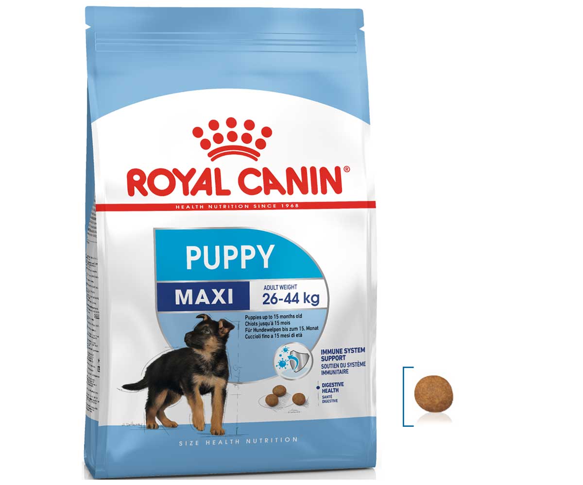 Обзор линейки кормов от фирмы royal canin для собаки мелкой породы и щенка