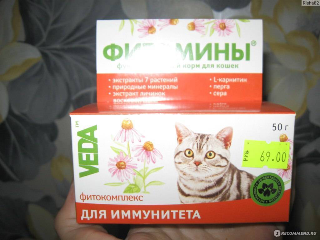 Витамины от выпадения шерсти для кошек: рейтинг лучших, лечение