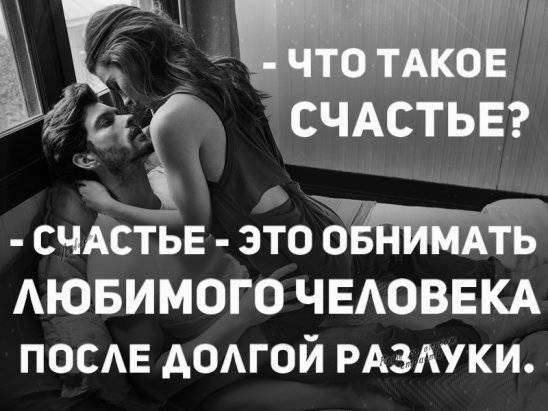 Любят ли кошки своих хозяев, чувствуют ли любовь хозяина, помнят ли его после долгой разлуки?