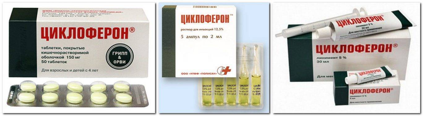 Циклоферон для кошек: состав, инструкция по применению