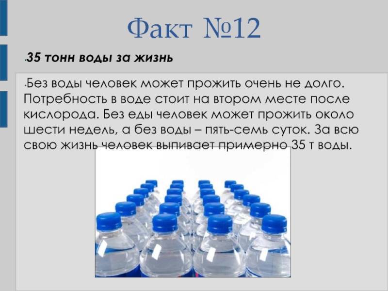 Шиншиллы: уход и содержание в домашних условиях, особенности характера грызуна, питания, поведения