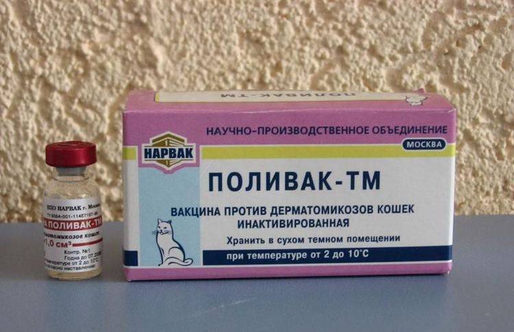 Поливак-тм: вакцина, защищающая котов от лишая