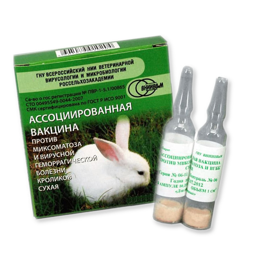 ВГБК вакцина для кроликов. ВГБК И миксоматоз. Миксоматоз и ВБГ кроликов. Возбудитель миксоматоза кроликов. Ассоциируемая вакцина против миксоматоза