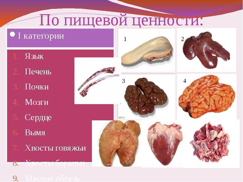 Как кормить собаку субпродуктами с пользой: почки, печень, легкие в рационе питомца