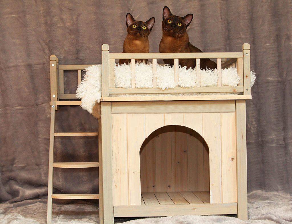 Как сделать домик для кошки: 15 шагов