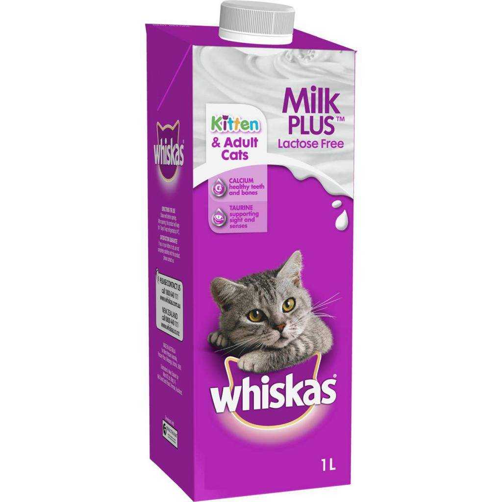 Lora kitten milk