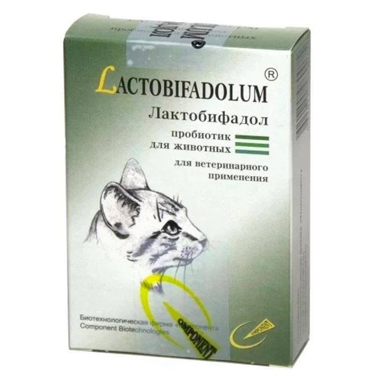 Инструкция по применению препарата «лактобифадол» для лечения кошек, совместимость с другими средствами