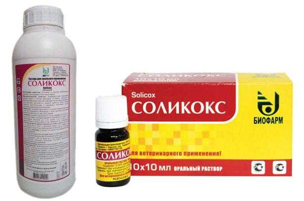 Инструкция по применению препарата соликокс для кроликов