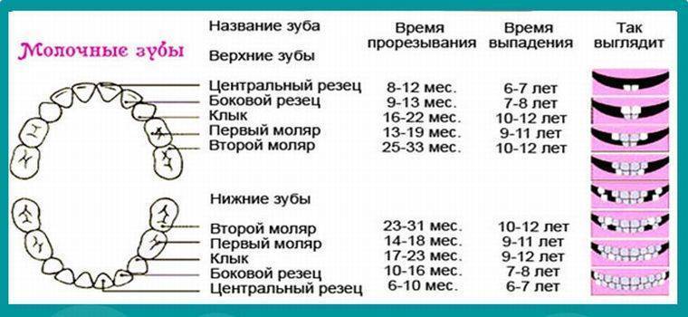 Что делать, если выпал зуб, способы восстановления