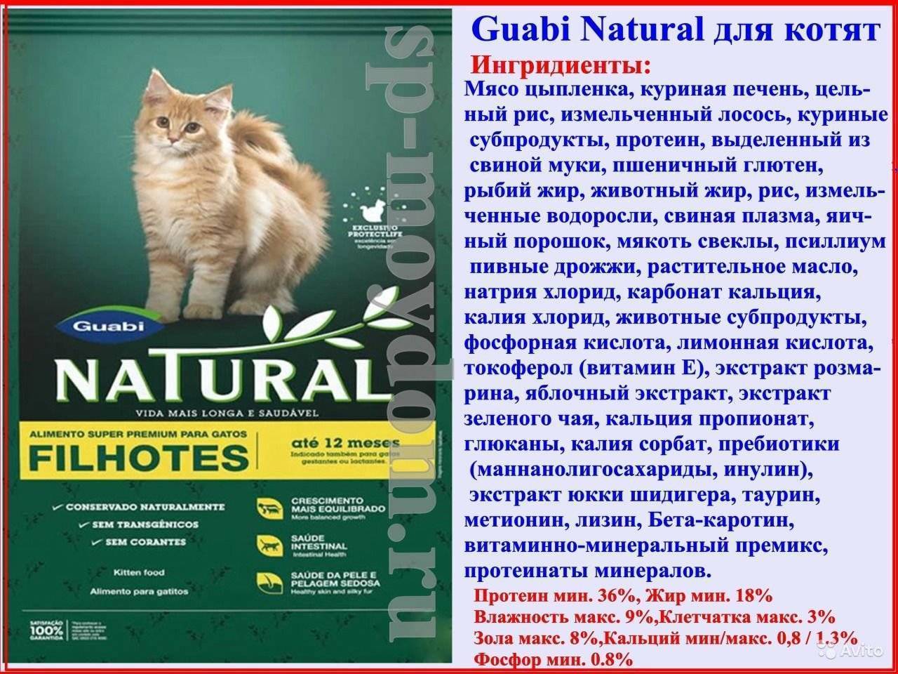 Гуаби корм для кошек: описание и состав