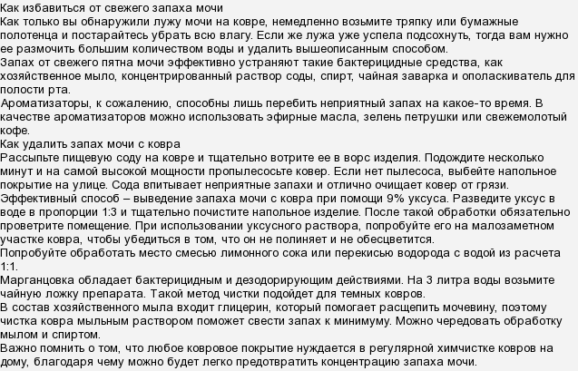 Как избавиться от запаха кошачьей мочи: полезные советы