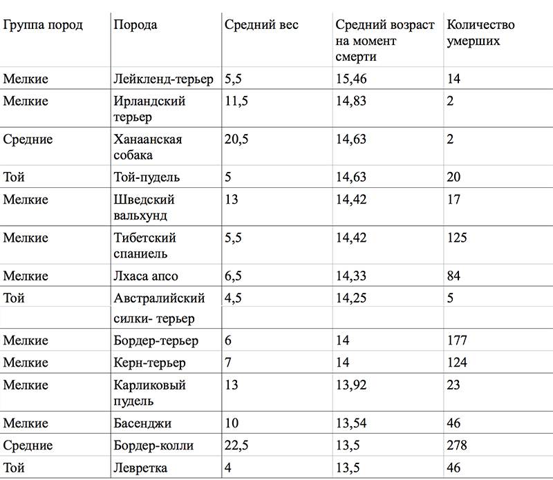 Сколько лет живут собаки разных пород и размеров