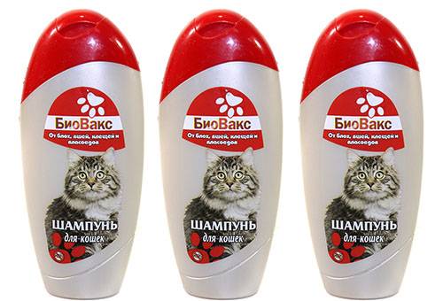 20 лучших шампуней для кошек
