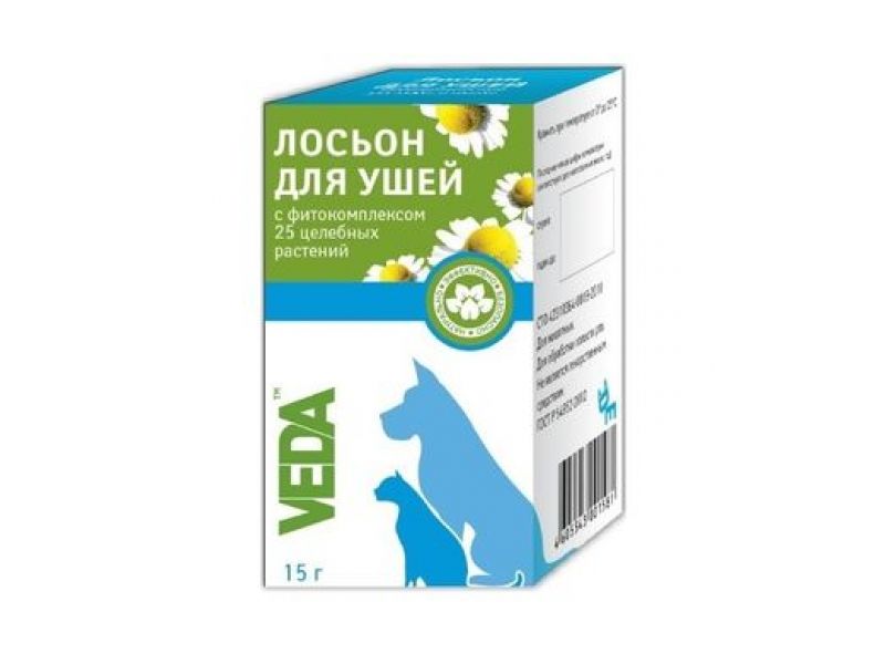 Уход за ушами шотландских кошек: как почистить уши