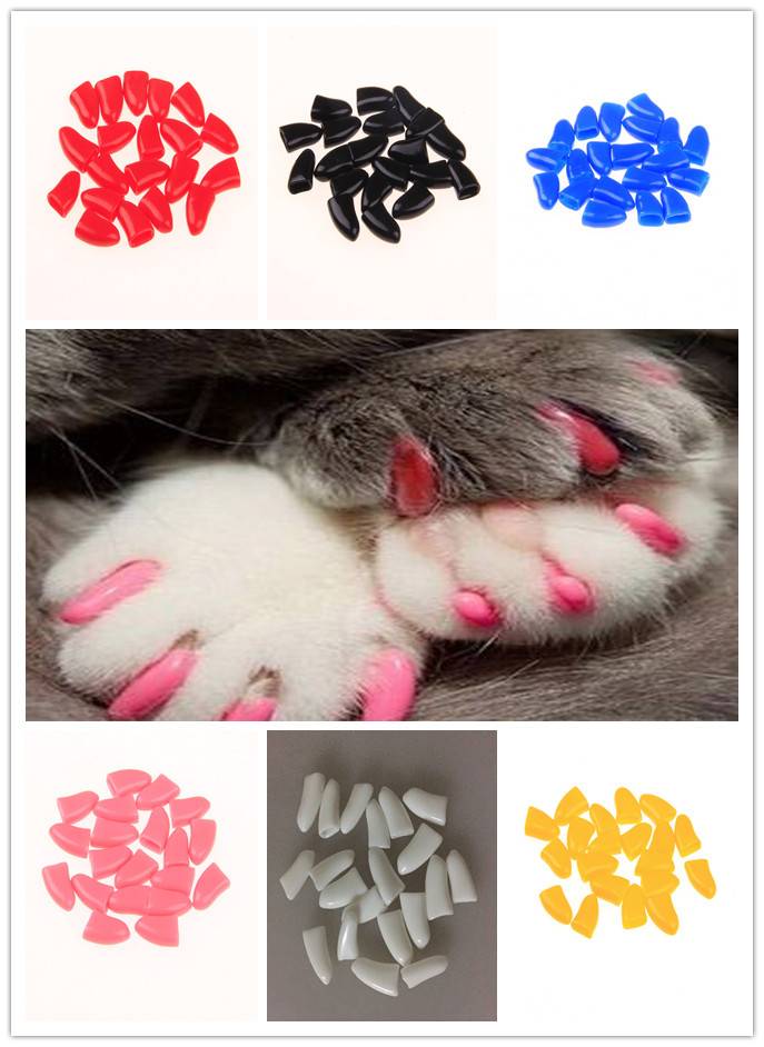 Силиконовые накладки на когти для кошек: преимущества, недостатки, процедура наклеивания