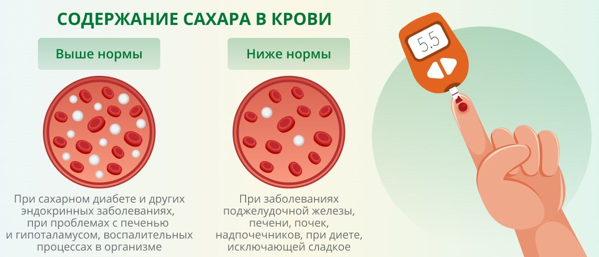 Сахарный диабет у кошек и котов - типы диабета, симптомы, диагностика и лечение! | caticat.ru