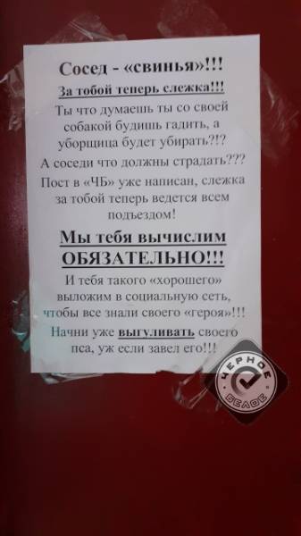 10 методов как отвадить котов метить дверь