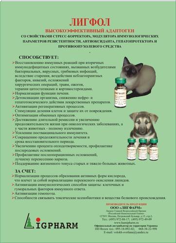 Лигфол для кошек: состав препарата, форма выпуска, применение, дозировка, противопоказания, возможные побочные эффекты, аналоги