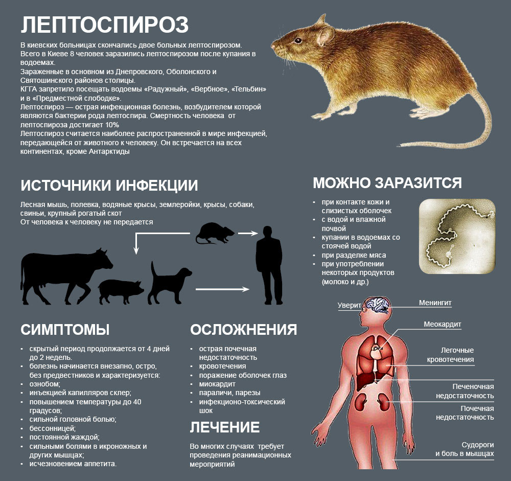 Все причины появления папиллом на теле